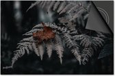 Inductie beschermer 60x60 - afdekplaat inductie mat - Dietrix Kookplaat beschermer - Base - Herfst - Herfsttak koel