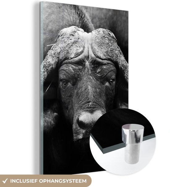 Peinture sur verre - Photo sur verre - Verre acrylique - Animaux - Buffalo - Zwart - Wit - Décoration murale animaux - 60x90 cm - Salon - Décoration de chambre - Décoration murale