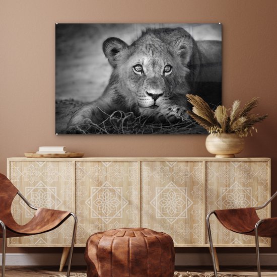 MuchoWow - Glasschilderij - Foto op glas - Wanddecoratie - Acrylglas - Wilde dieren - Leeuw - Natuur - Zwart - Wit - Woonkamer - 120x80 cm - Muurdecoratie dieren - Kamer decoratie - Schilderij glas