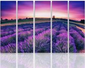 Schilderij , Lavendel Landschap , Paars roze ,4 maten , 5 luik , wanddecoratie , Premium print , XXL