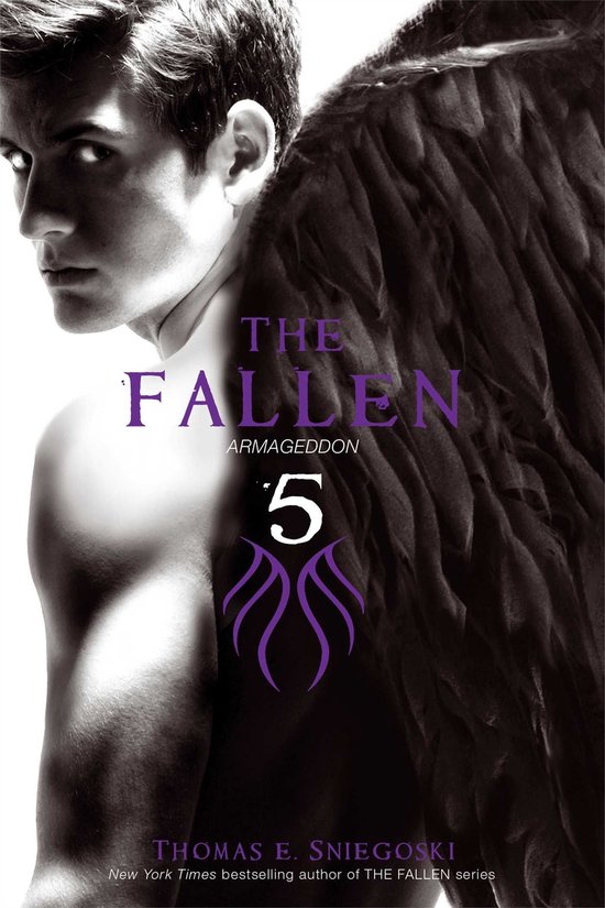 Fallen - The Fallen 5 - cover