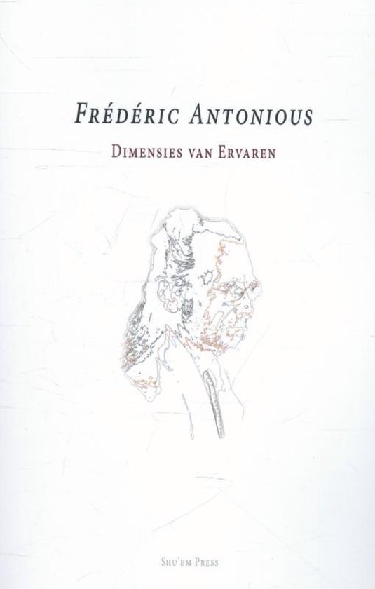Cover van het boek 'Dimensies van ervaren'