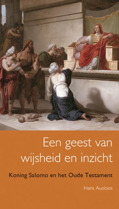 Cover van het boek 'Een geest van wijsheid en inzicht' van Hans Ausloos