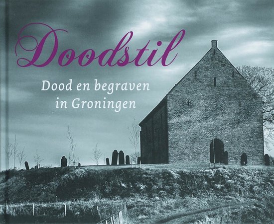 Cover van het boek 'Doodstil'