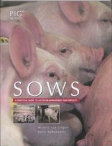 Pigsignals  -   Sows