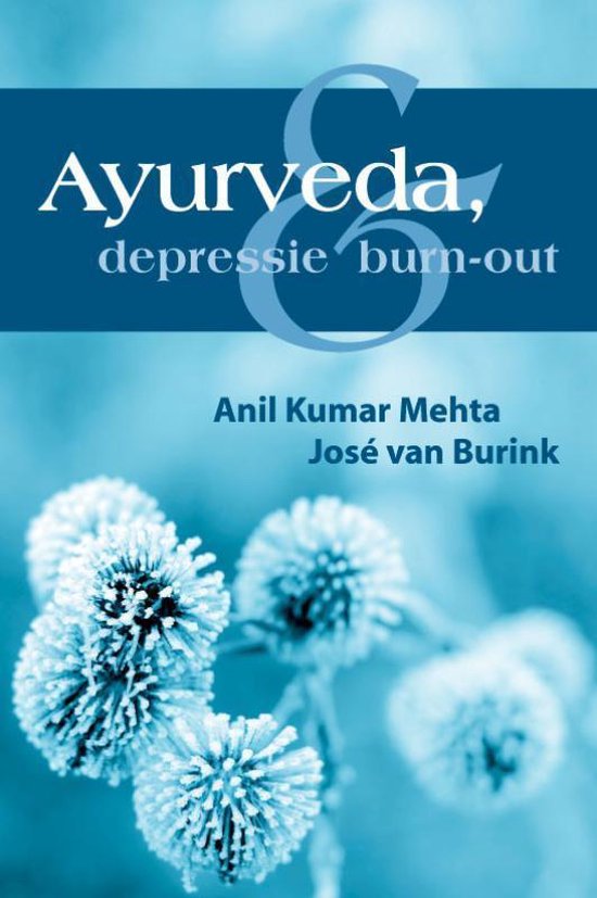 Cover van het boek 'Ayurveda, depressie & burn-out' van Anil Kumar Mehta en José van Burink