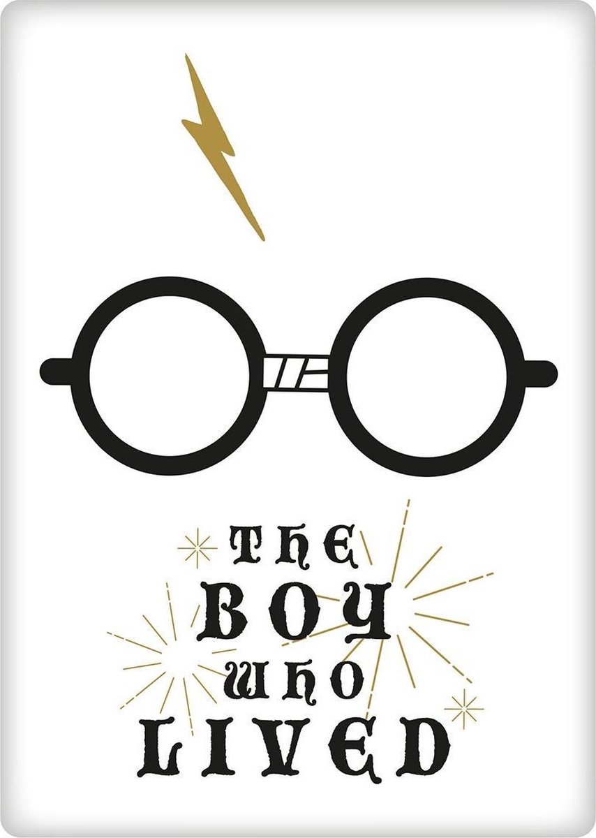 Harry Potter - De Jongen Die Bleef Leven metalen magneet