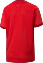 Puma Sportshirt - Maat 152  - Unisex - rood,wit