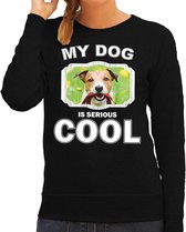 Jack russel honden trui / sweater my dog is serious cool zwart - dames - Jack russel terriers liefhebber cadeau sweaters XL