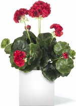 Kunstbloem Geranium Rood 40 cm