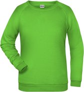 James And Nicholson Dames/dames Basic Sweatshirt (Kalk groen)