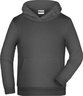 James And Nicholson Kinderen/Kinderen Basic Hoodie (Grafiet)