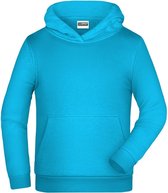 James And Nicholson Kinderen/Kinderen Basic Hoodie (Turquoise)