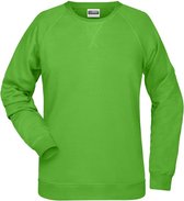 James and Nicholson Dames/dames Raglan Sweatshirt met lange mouwen (Kalk groen)