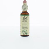 Bach Flower Walnoot - Bloessem - 20 ml - Voedingssupplement
