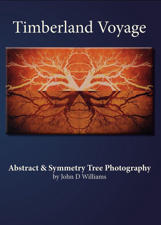 Timberland Voyage Abstract & Symmetry Tree Art Photography - cover