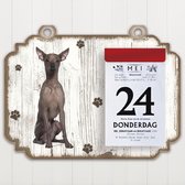 Scheurkalender 2023 Hond: Peruaanse Naakthond