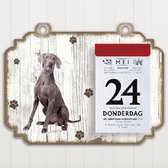 Scheurkalender 2023 Hond: Weimaraner