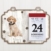 Scheurkalender 2023 Hond: Labrador