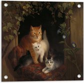 Tuinposter – Schilderij Katten in Huisje - 50x50cm Foto op Tuinposter  (wanddecoratie voor buiten en binnen)