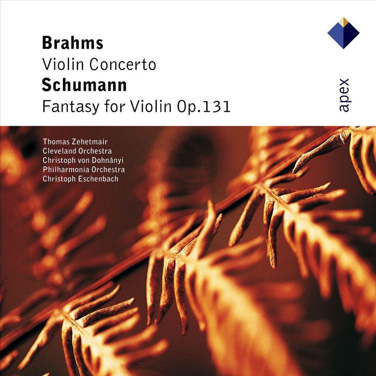 Violin Concerto/fantasy (Zehetmair)