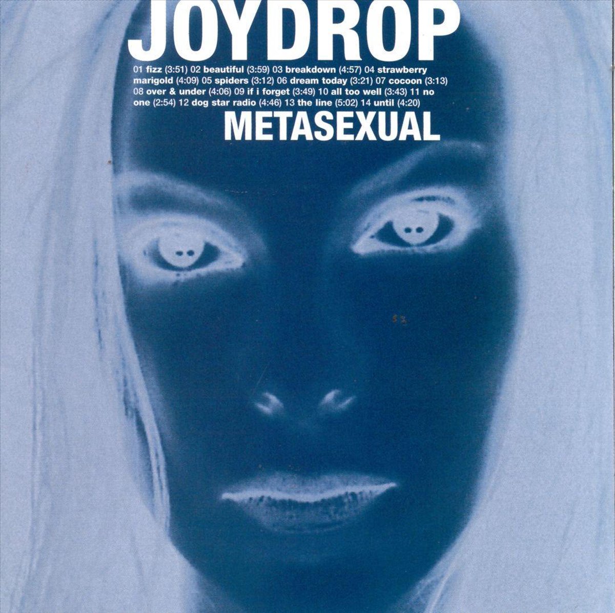 Metasexual