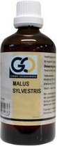 GO Malus sylvestris 100 ml