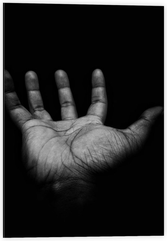 Dibond - Helpende Hand (zwart/wit) - 40x60cm Foto op Aluminium (Wanddecoratie van metaal)