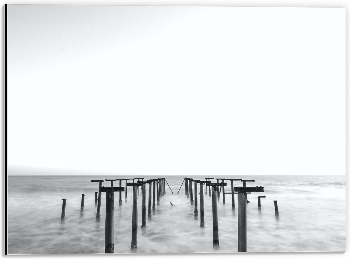 Dibond - Palen in het Water Zwart - Wit - 40x30cm Foto op Aluminium (Wanddecoratie van met