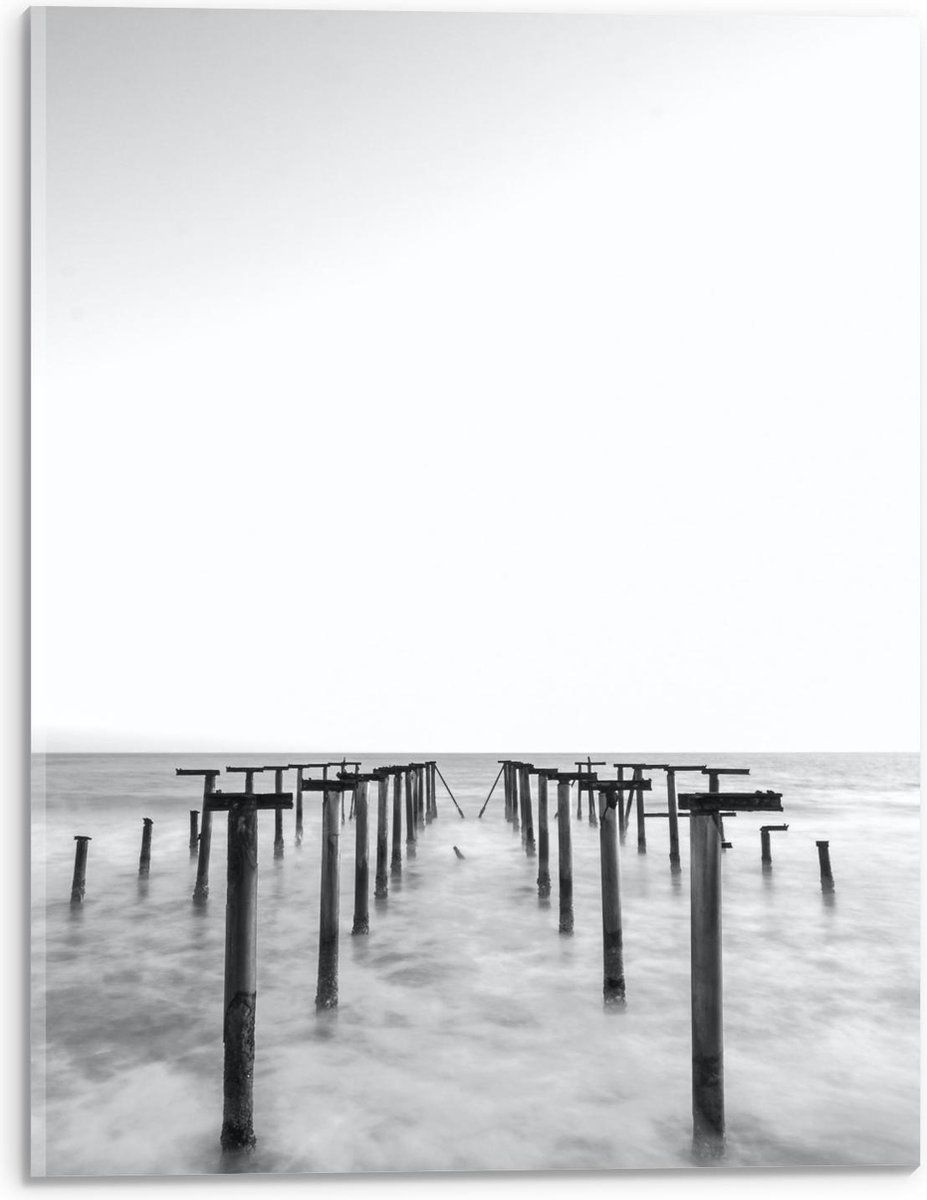 Acrylglas - Palen in het Water Zwart - Wit - 30x40cm Foto op Acrylglas (Wanddecoratie op A
