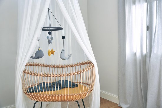 Lässig Seal & Whale Music Lässig