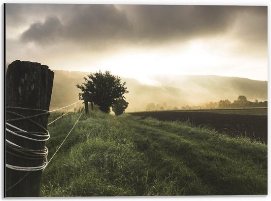 Dibond - Graslandschap met Paaltje  - 40x30cm Foto op Aluminium (Met Ophangsysteem)