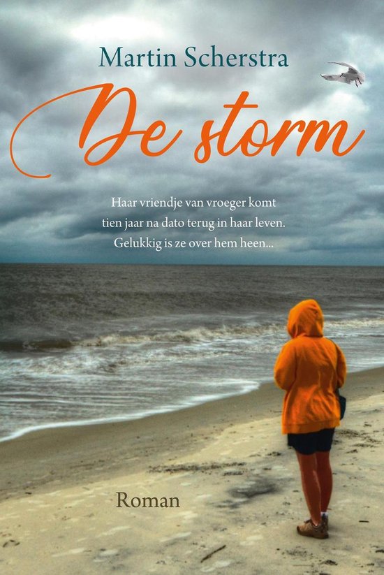 De storm - cover