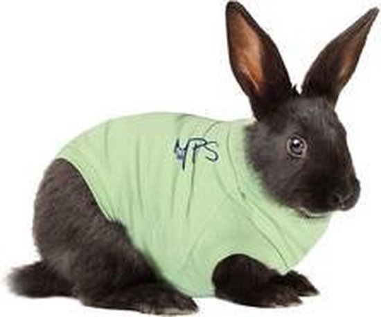 Medical Pet Shirt Konijn - XS