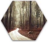 Schilderij natuur en bos - mistig bos - Dibond - Aluminium zeshoek schilderij  - 50 x 50 cm