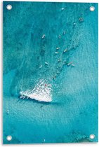 Tuinposter – Zee met Surfers (Bovenaanzicht) - 40x60cm Foto op Tuinposter  (wanddecoratie voor buiten en binnen)