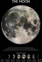 Pyramid Poster - The Moon Phases - 91.5 X 61 Cm - Multicolor