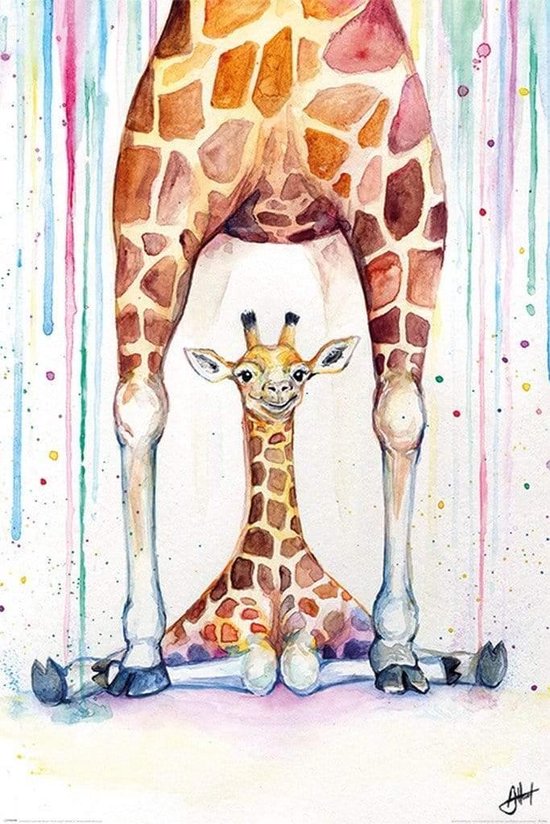 Marc Allante Affiche Magnifiques Girafes 61x91.5cm