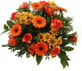 Springtime Orange(Springtime Orange)