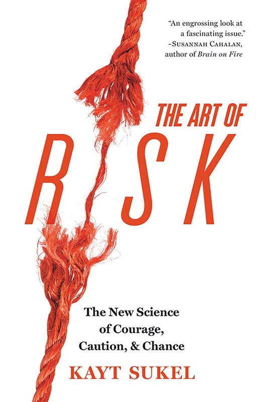 The Art of Risk - cover