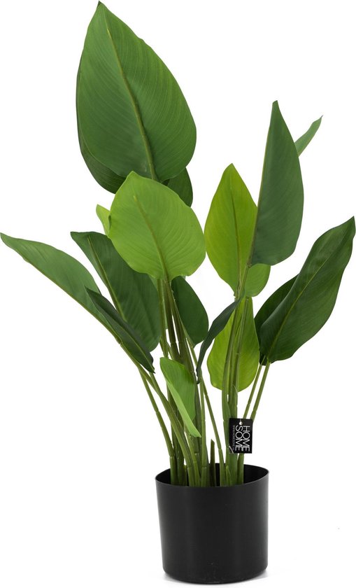 Strelitzia plant kunststof |