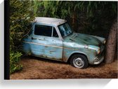Canvas  - Blauwe Auto tegen Boom - 40x30cm Foto op Canvas Schilderij (Wanddecoratie op Canvas)