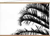 Schoolplaat – Palmtakken (wit/zwart) - 120x80cm Foto op Textielposter (Wanddecoratie op Schoolplaat)