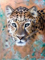 Dielay - Diamond Painting Pakket - Luipaard | Panter - 50x40 cm - Complete Set - Volledige Bedekking - Ronde Steentjes