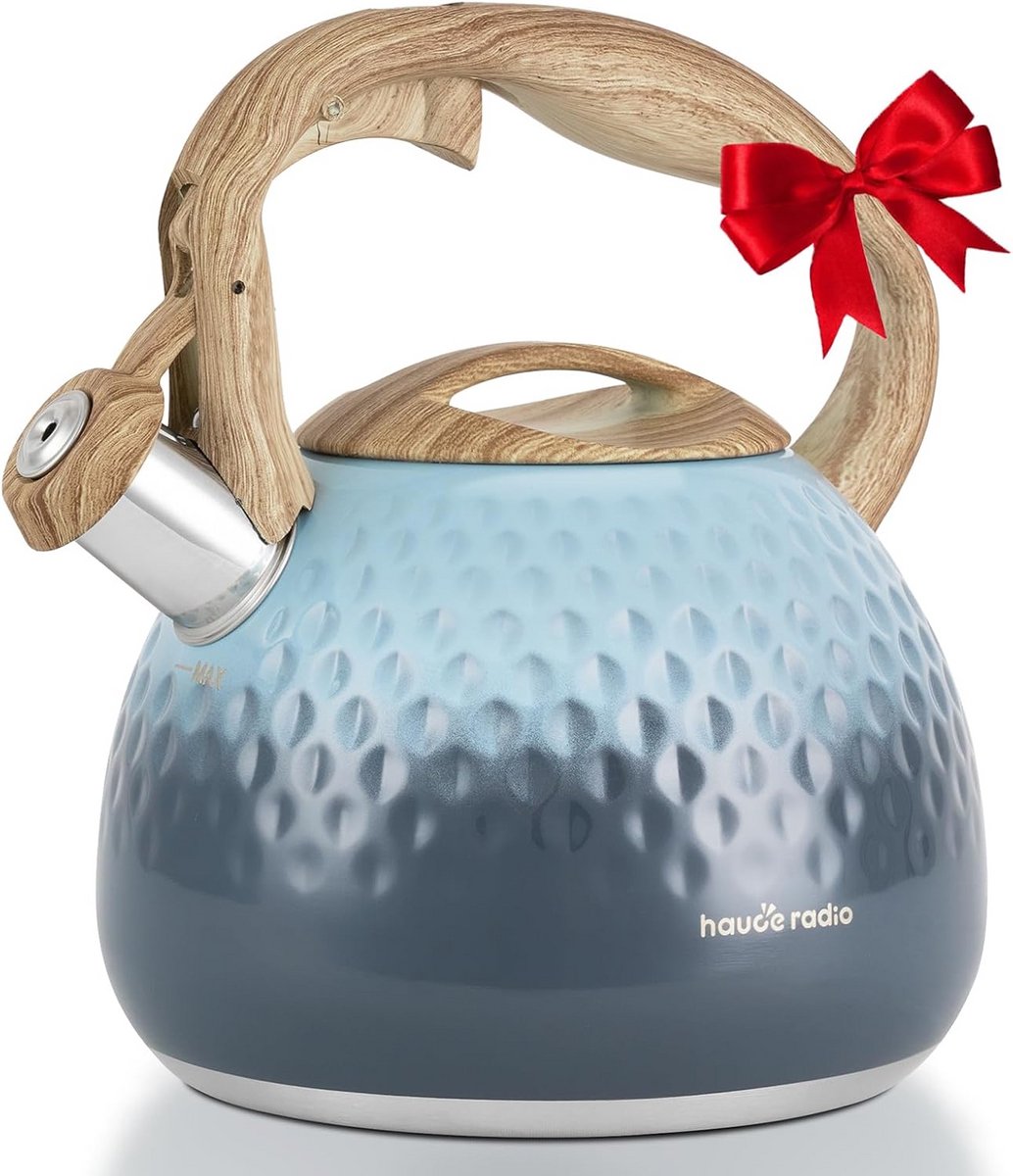 Fluitketel voor alle warmtebronnen - RVS Waterkoker met Anti-Hete Handgreep - 2.36L
