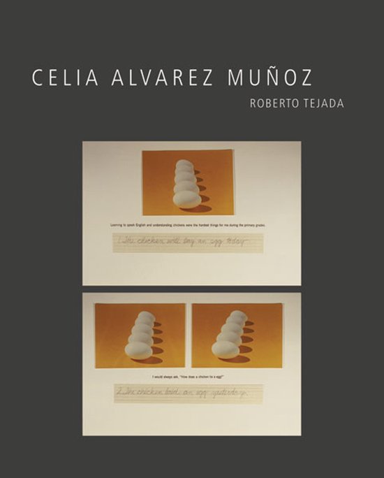 Celia Alvarez Munoz - cover