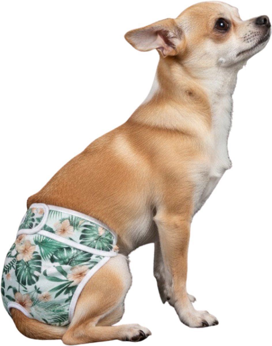 Sharon B Loopsheidbroekje hond - monstera - Maat XS - Wasbaar - Voor zeer kleine hondjes - taille 14-21 cm - Bij loopsheid, incontinentie bij teefjes - Hondenluier - Voor honden