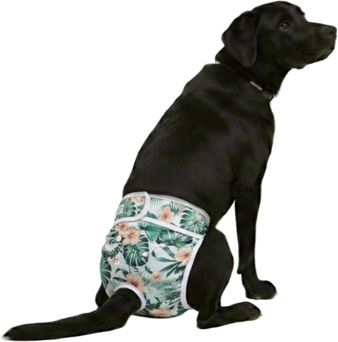 Loopsheidbroekje hond - bloemenprint - maat XL - voor grote honden - herbruikbaar - hondenbroekje - hondenluier - loopsheid - ongesteldheid - voorkomt ongewenste zwangerschappen bij teefjes - milieuvriendelijk - verantwoord - perfecte pasvorm