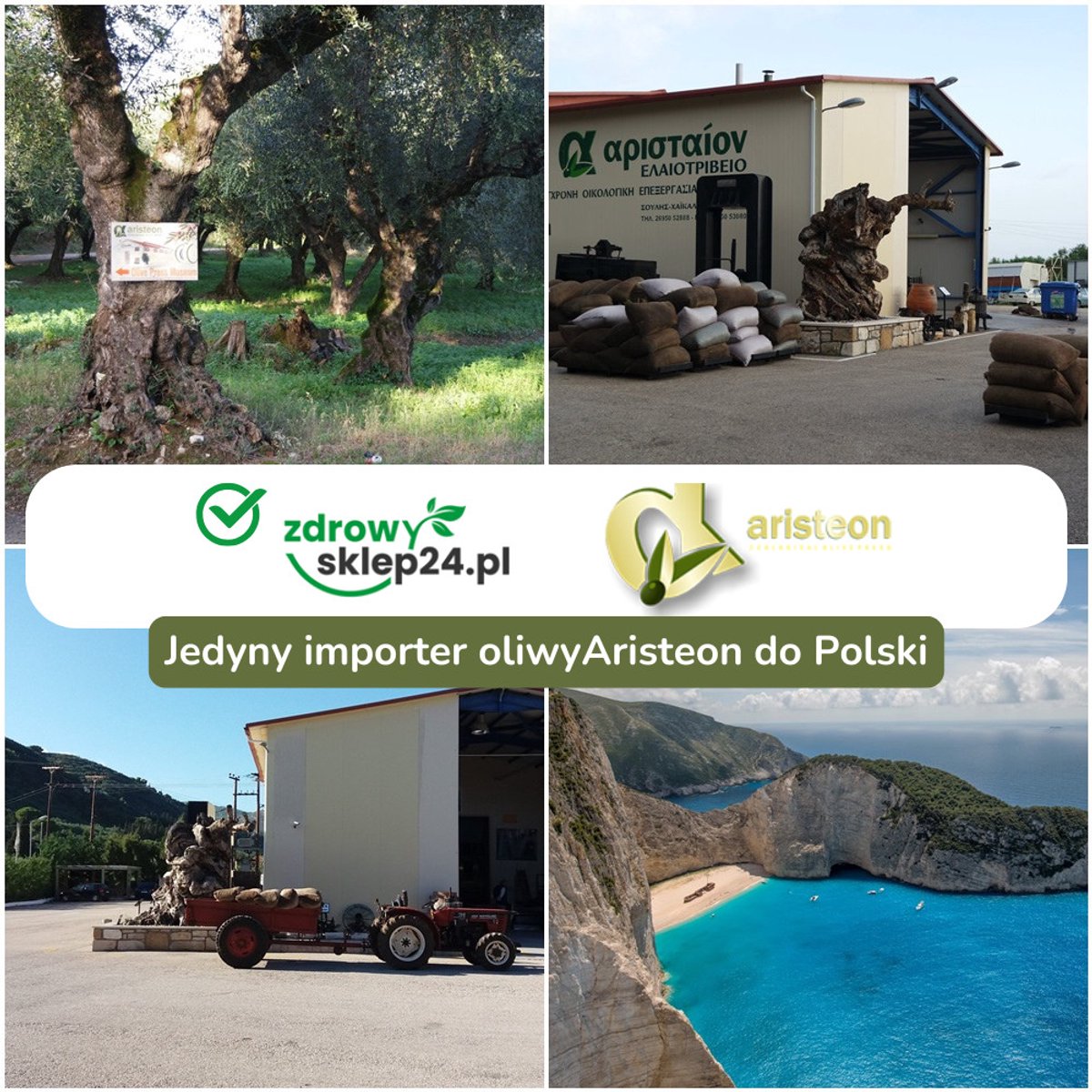 ARISTEON Knoflook Olijfolie 100 ml – uit Zakynthos, Griekenland