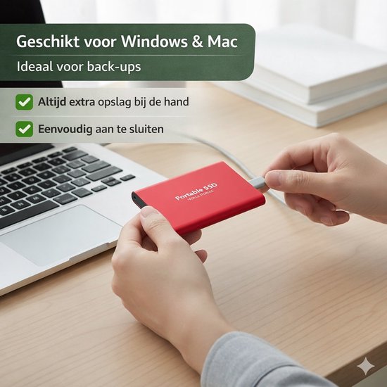 IFlash Solo 1TB Externe Harde Schijf – Draagbaar, USB, Voor Data-opslag En Backup